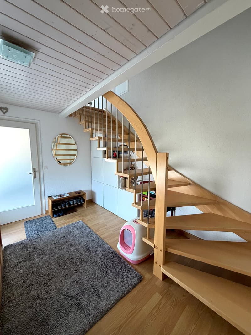 Spacious hallway with wooden staircase, grey rug, shoe rack, and cat litter box.
