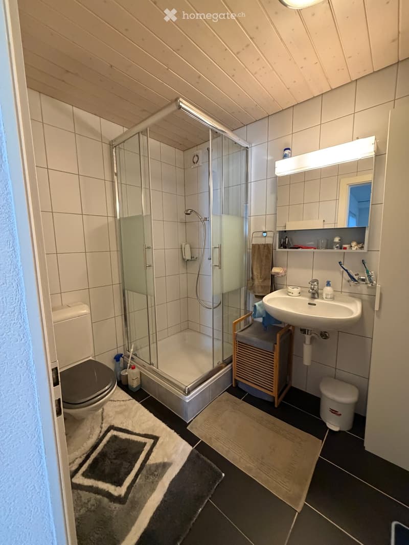 Modern bathroom with a glass-enclosed shower, toilet, sink, and mirror. Includes a small wooden cabinet, towels, and various toiletries.