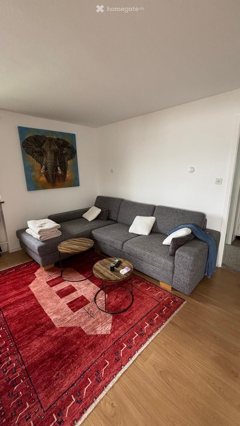 Modern living room with grey sectional sofa, wooden coffee tables, red patterned rug, and decorative pillows.