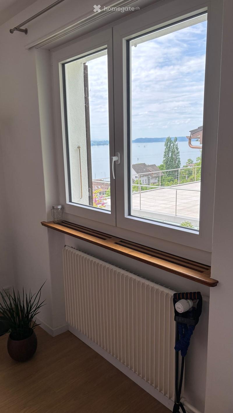 Empty room with wooden flooring, white walls, large windows offering a scenic view of a lake and distant mountains, radiator, and a small wooden shelf with a jar on it.