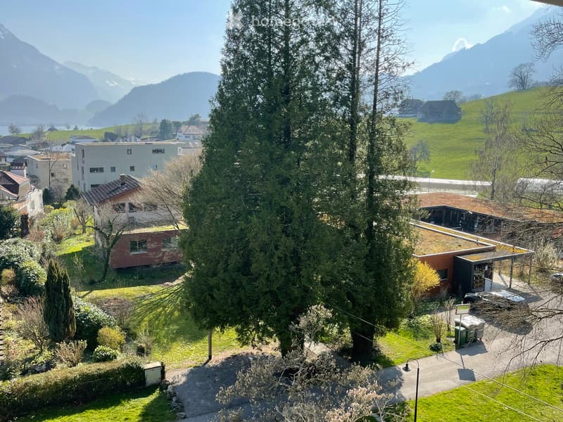 Aerial view of a residential area with houses, a large tree, and a green field. Mountains in the background.
