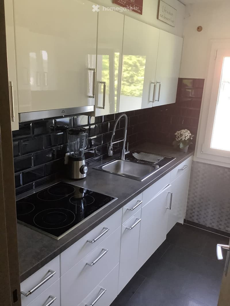 Modern kitchen with white cabinets, stainless steel sink, induction cooktop, and a blender on the counter.