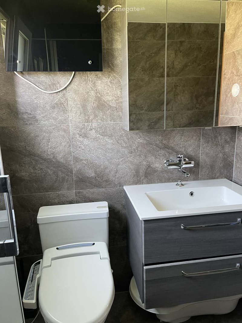 Modern bathroom with a white toilet, a sink with a modern faucet, and a mirrored cabinet above the sink. The walls are tiled in a gray marble pattern.