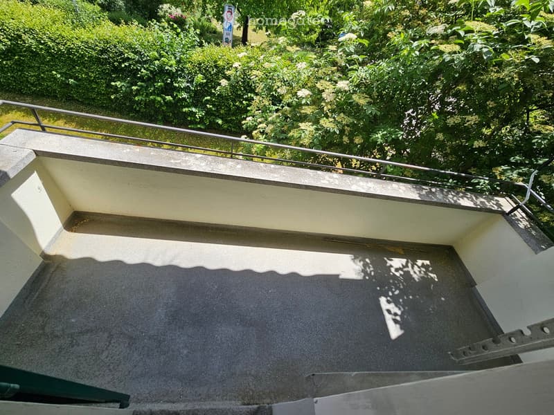 Balcony with a metal railing, surrounded by greenery and trees, featuring a concrete surface and a small raised section.