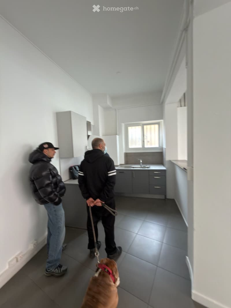 Modern kitchen with white walls, grey cabinets, and a sink. Two individuals and a dog are present.