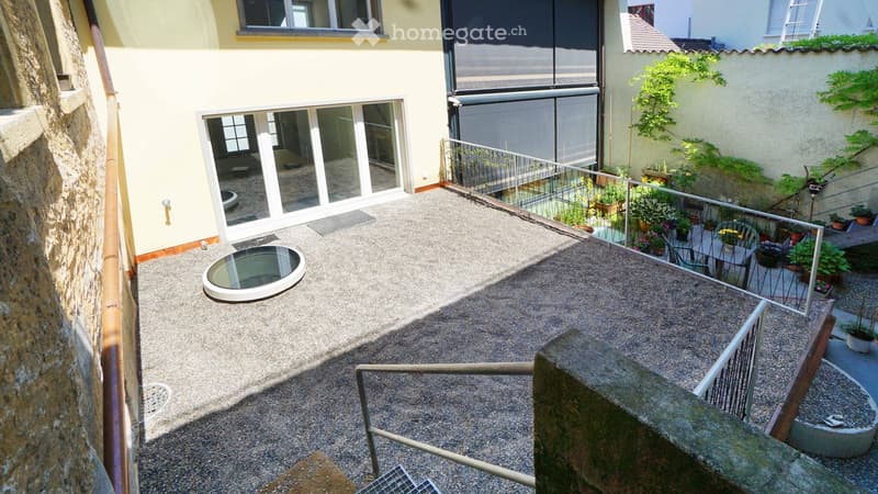 Terrace with gravel floor, metal railing, glass doors, plants, and a skylight