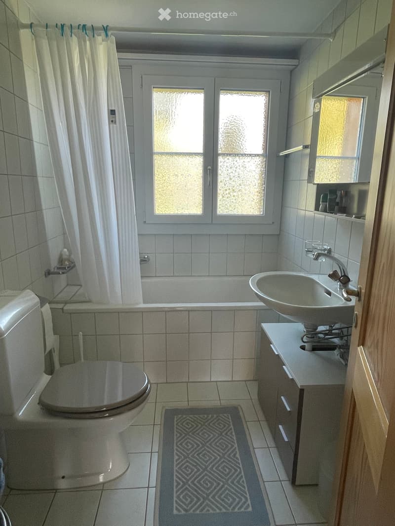Bathroom with tiled walls and floor, featuring a toilet, sink with faucet, bathtub, and a mirror above the sink. A patterned rug is placed on the floor.