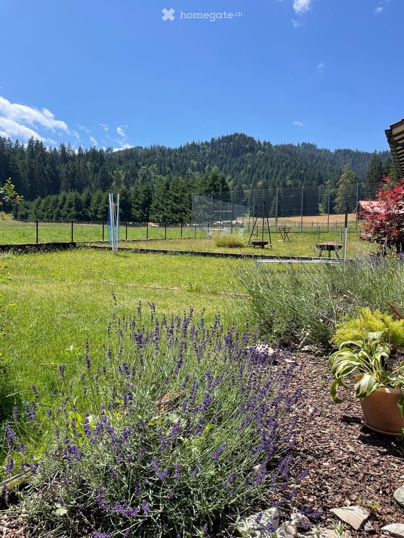 A serene garden area with lavender plants, a potted plant, and a scenic view of a forested mountain range under a clear blue sky.