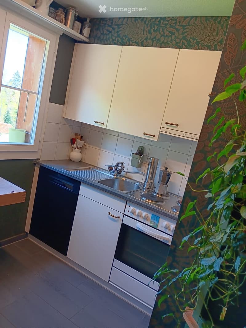 Modern kitchen with white cabinets, stainless steel sink, oven, stove, and coffee maker. Features a window with a view of greenery, a countertop with a vase, and a potted plant near the window.