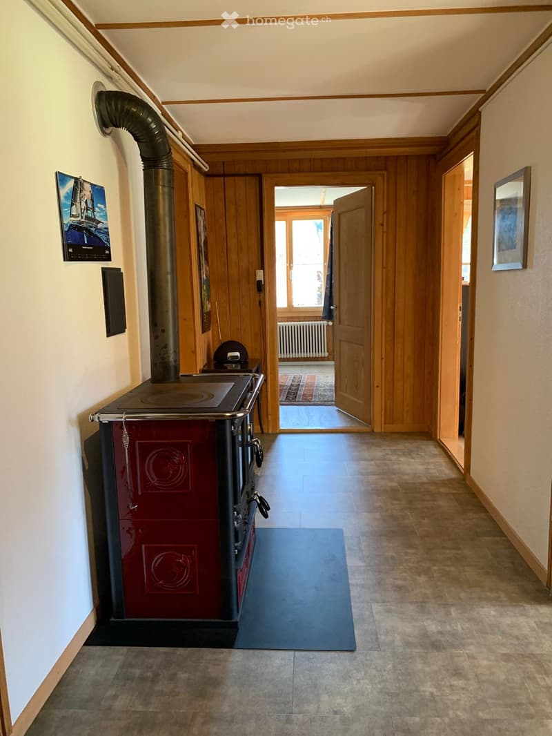 A hallway with wooden paneling, a red wood-burning stove, and a blue mat. The hallway leads to another room with a visible rug and radiator.