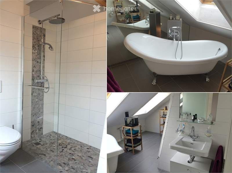 Three-part collage showing a modern shower area with a glass enclosure, a freestanding clawfoot bathtub, and a compact sink area with a mirror and storage. The shower features a rainfall showerhead and a modern faucet, while the bathtub is white and elega