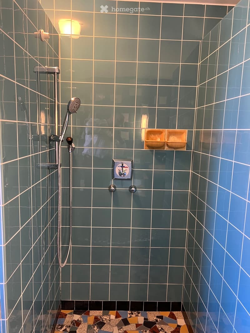 Modern shower area with dark green tiles, mosaic floor, and a handheld showerhead on a rail. A control panel is mounted on the wall, and a light fixture is visible above.