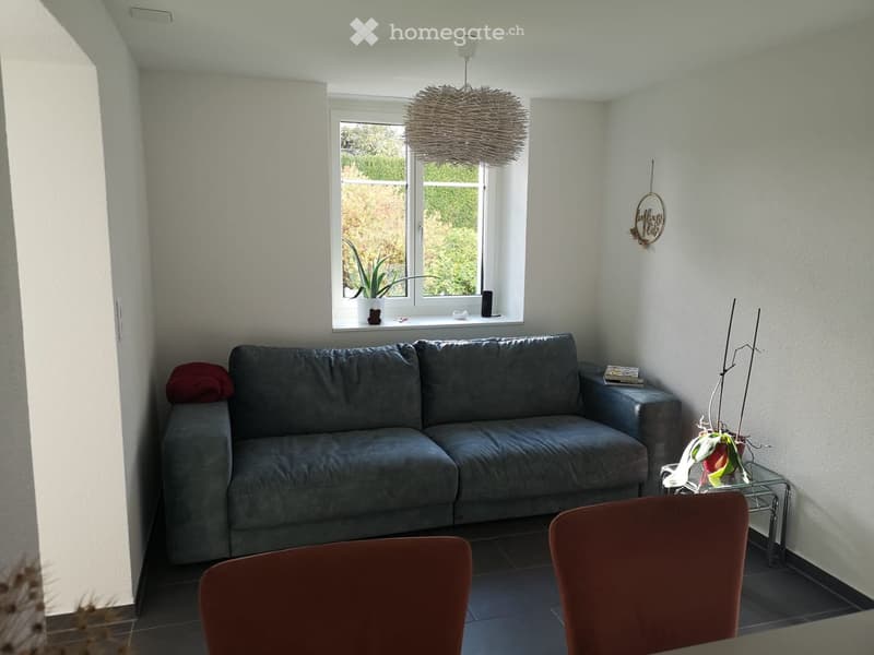 {"visible_features": [], "type": "Room", "description": "Sofa, two red chairs, window with potted plant, hanging lamp, wall-mounted sign.", "localized_descriptions": {"EN": "Room with a sofa, two red chairs, a window with a potted plant, a hanging lamp, a