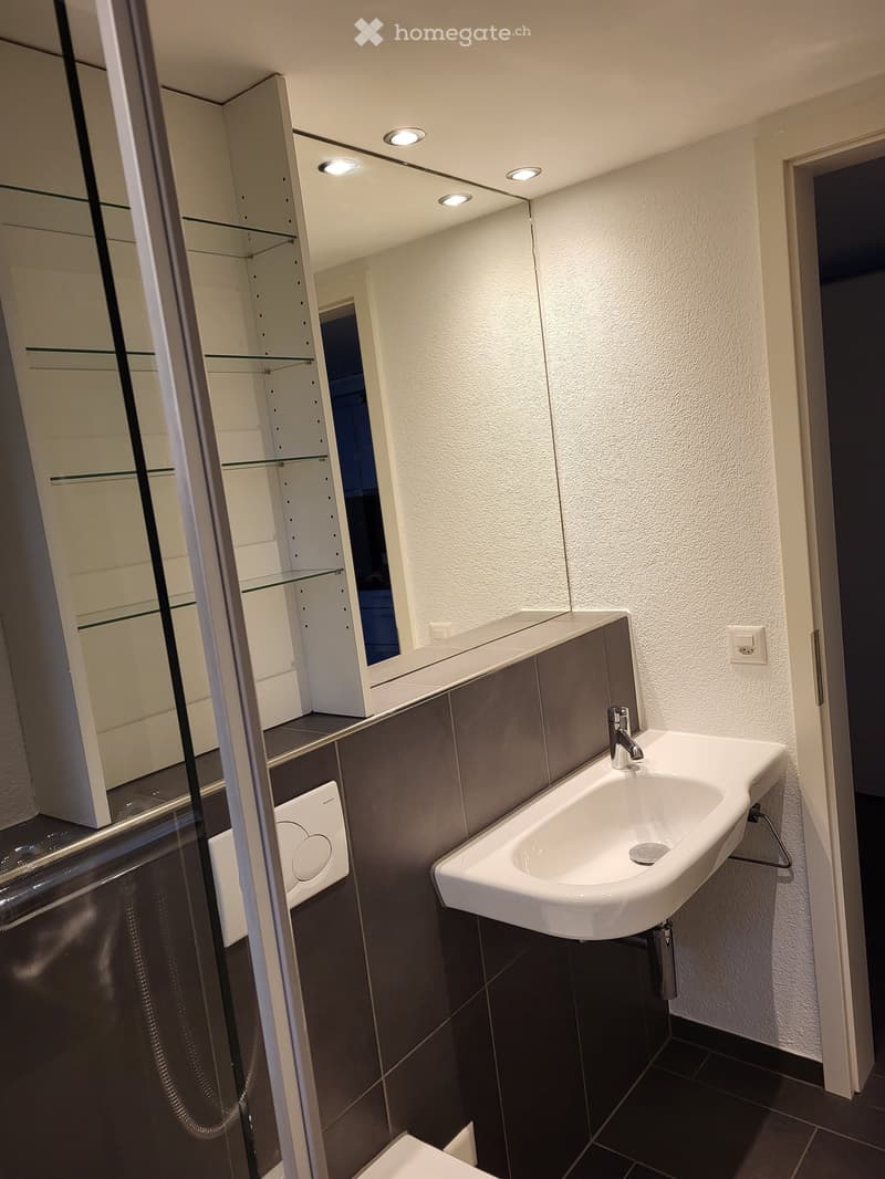 {"visible_features": [],    "type": "Room",    "description": "White sink, white cabinet, gray tiles, shower door",    "localized_descriptions":        {        "EN": "White sink, white cabinet, gray tiles, shower door",        "DE": "Weißes Waschbe