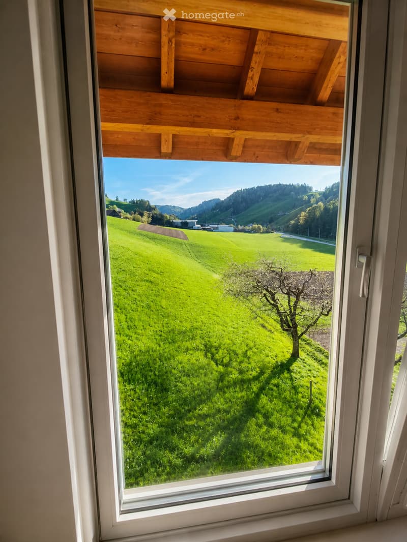 A large window with white frame and wooden ceiling beams, offering a scenic view of green fields, a small tree, and distant hills under a clear blue sky.