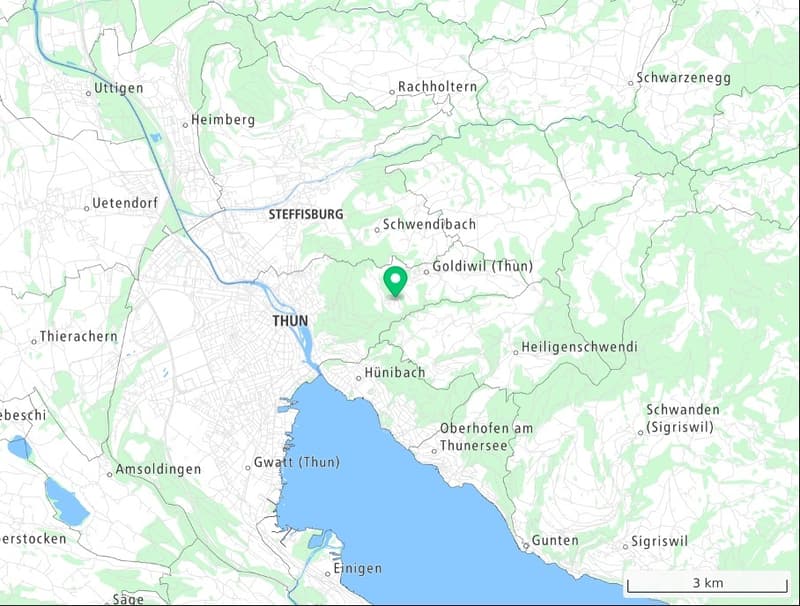 Entwicklungsgrundstück 1'402 m² in Goldiwil/Thun mit unverbaubarer Sicht auf Thunersee und Alpen (2)