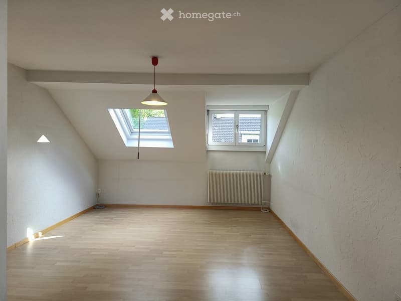 Empty attic room with wooden flooring, white walls, skylight window, and a radiator. No furniture or equipment present.