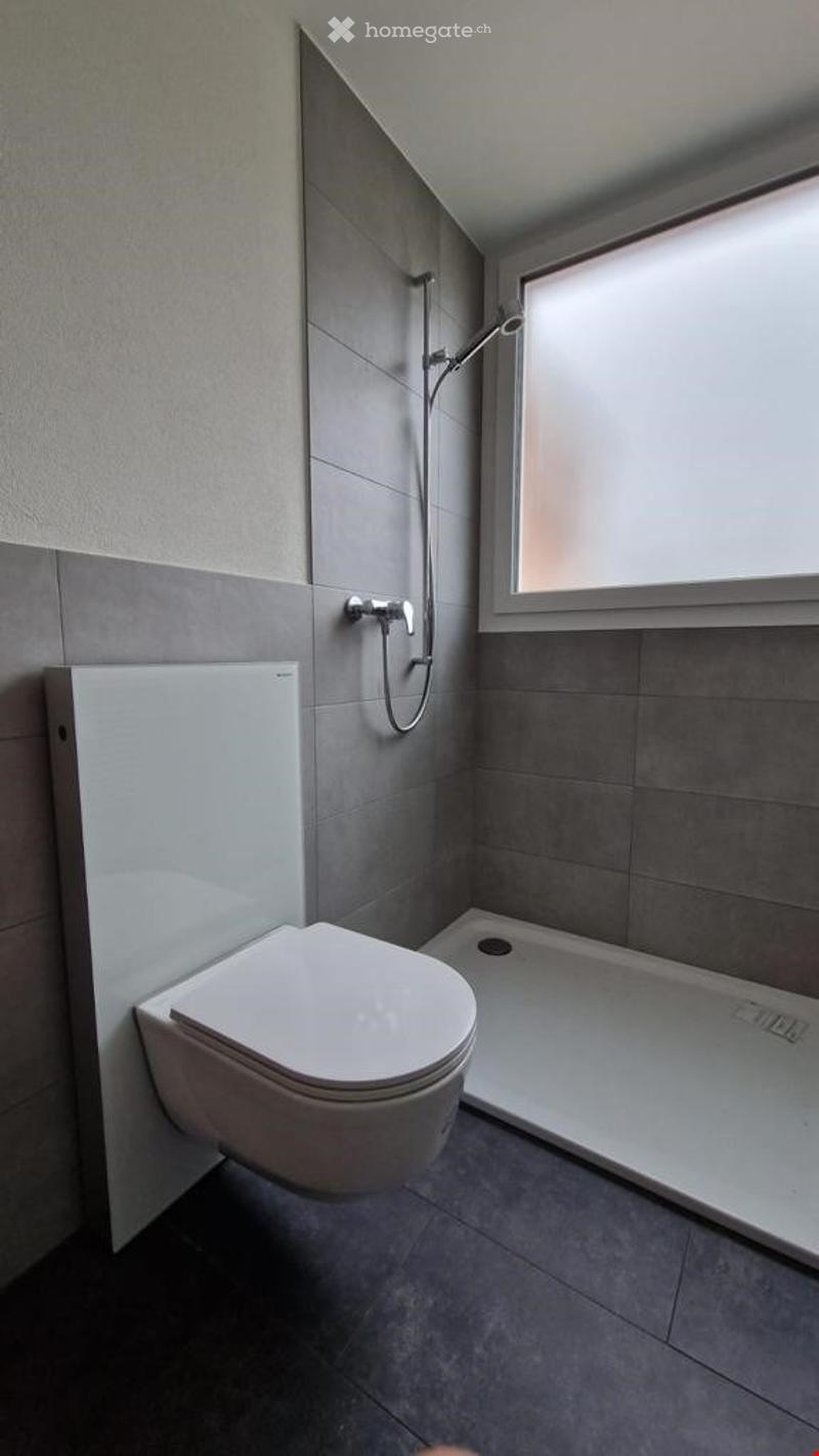 Modern bathroom with grey tiled walls and floor, white toilet, and a walk-in shower with a glass door.