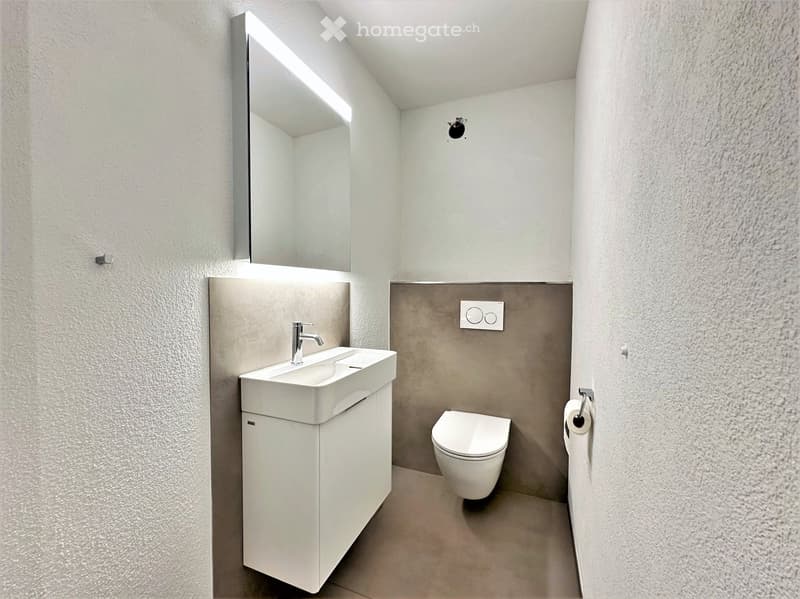 Modern bathroom with a white sink, toilet, and mirror, featuring sleek design and neutral tones.