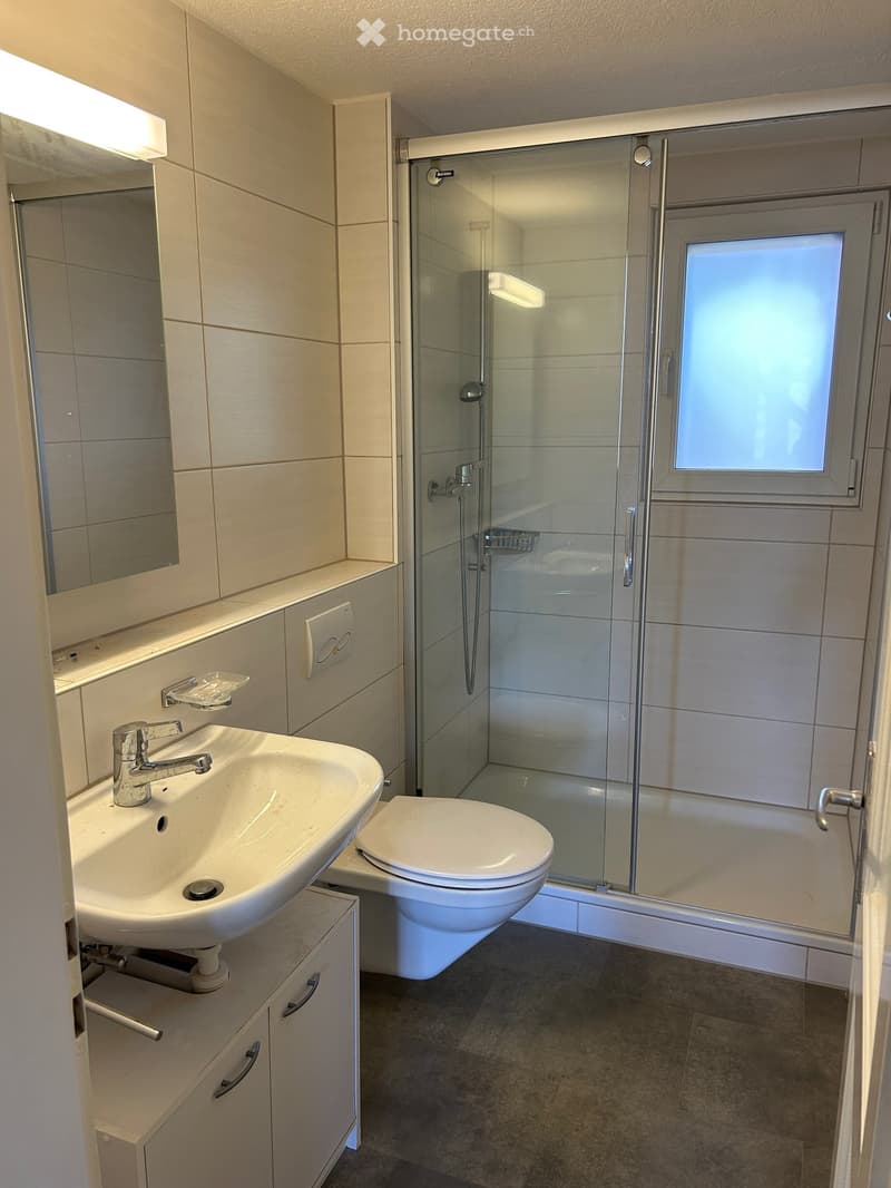 Modern bathroom with a white sink, chrome faucet, toilet, glass-enclosed shower, and a mirror above the sink.