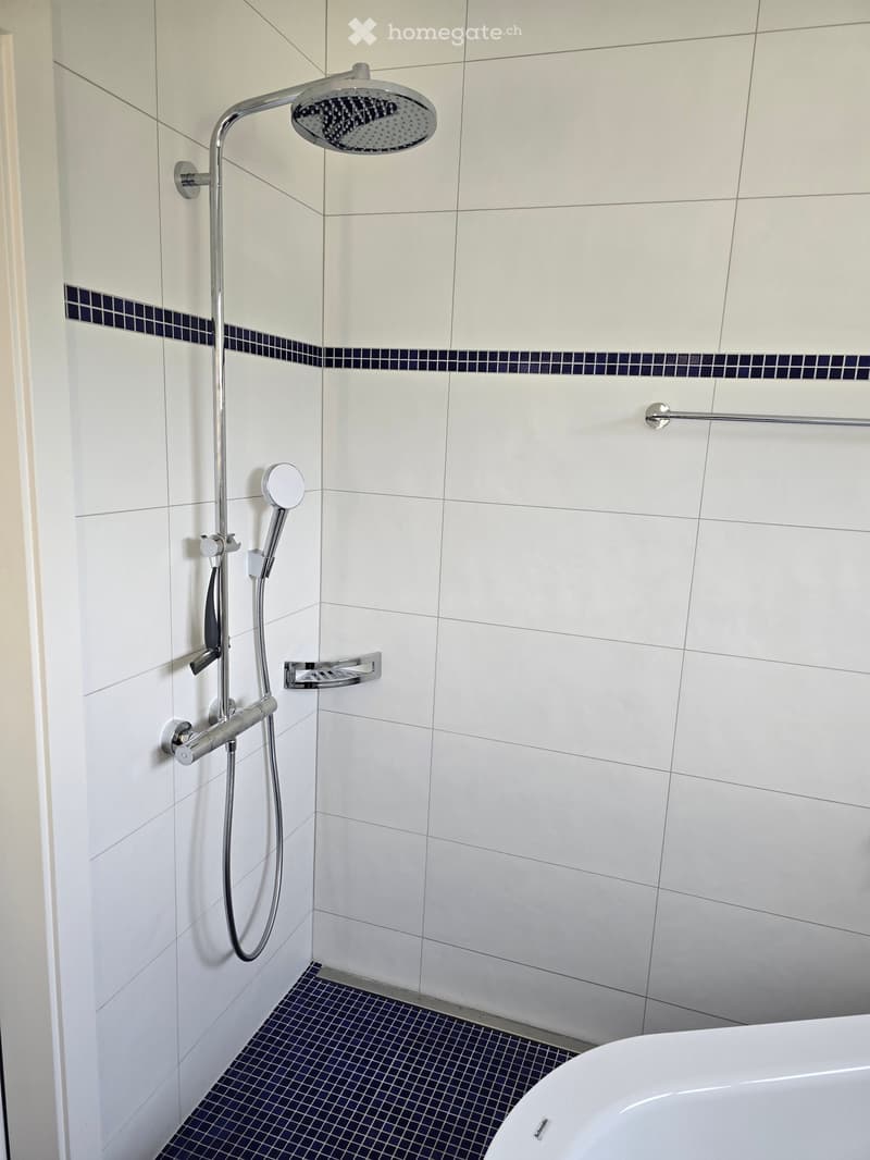Modern bathroom with white tiled walls, dark blue mosaic border tiles, and a sleek chrome showerhead with handheld sprayer.