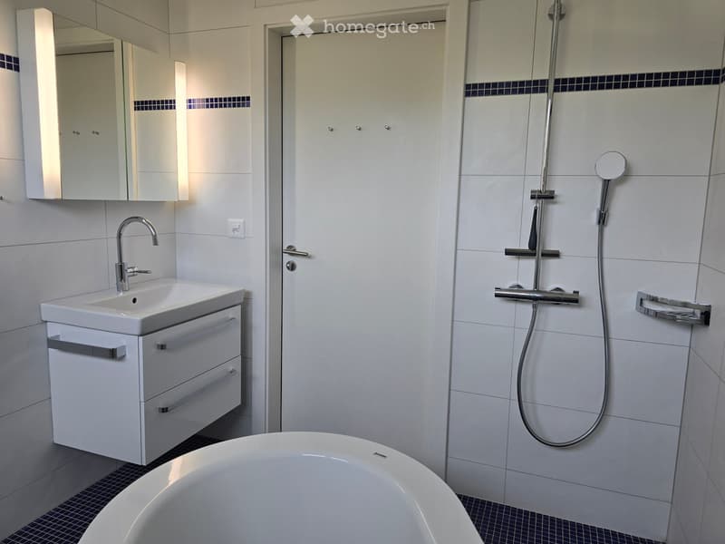Modern bathroom with white tiles, a large bathtub, a sink with a mirror cabinet, and a shower with a handheld sprayer.