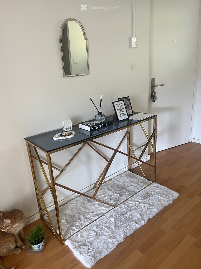 A small hallway or entryway with a sleek, gold-framed table, a mirror, a fluffy white rug, and a cat sitting nearby.