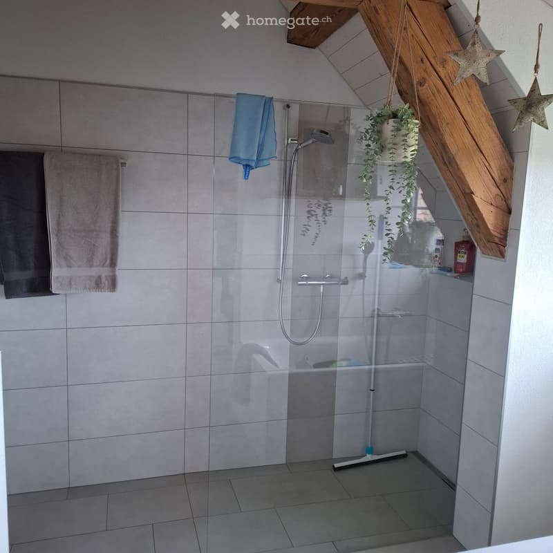 Bathroom. Modern bathroom with a glass-enclosed shower, tiled walls, and a hanging potted plant. Towels are neatly placed on a rack, and a shower head with a hose is mounted on the wall.