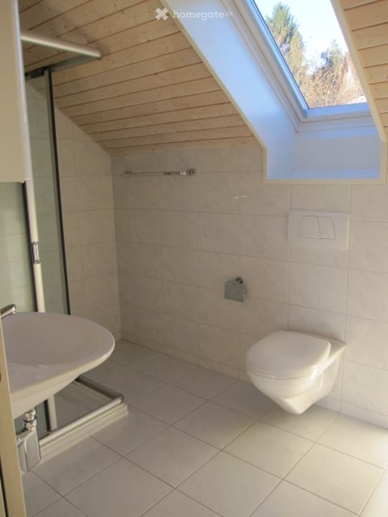 Modern bathroom with white tiles, a skylight window, a sink, and a toilet.