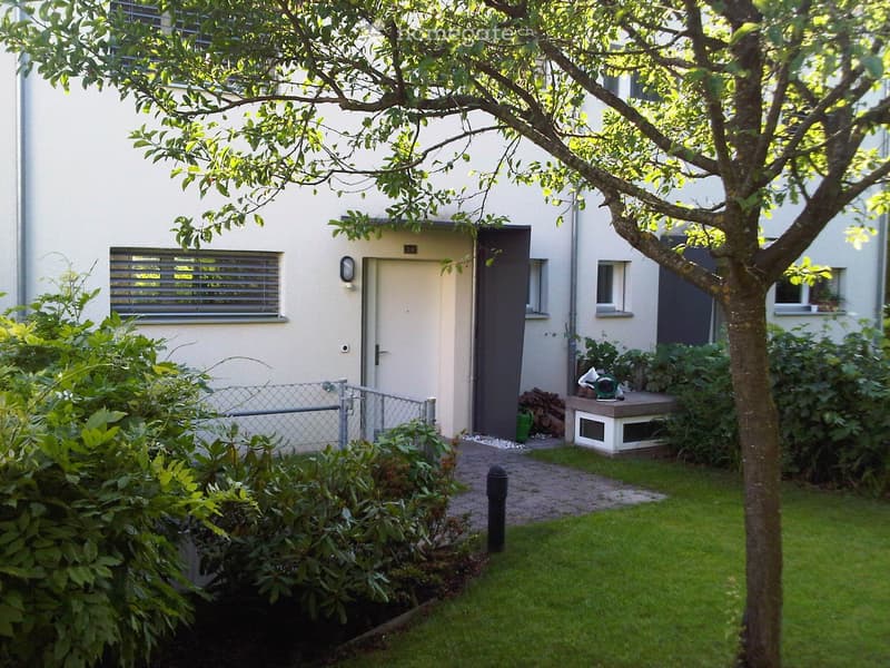 Garden area with a small tree, lawn, shrubs, a small shed, and a pathway leading to the house entrance.