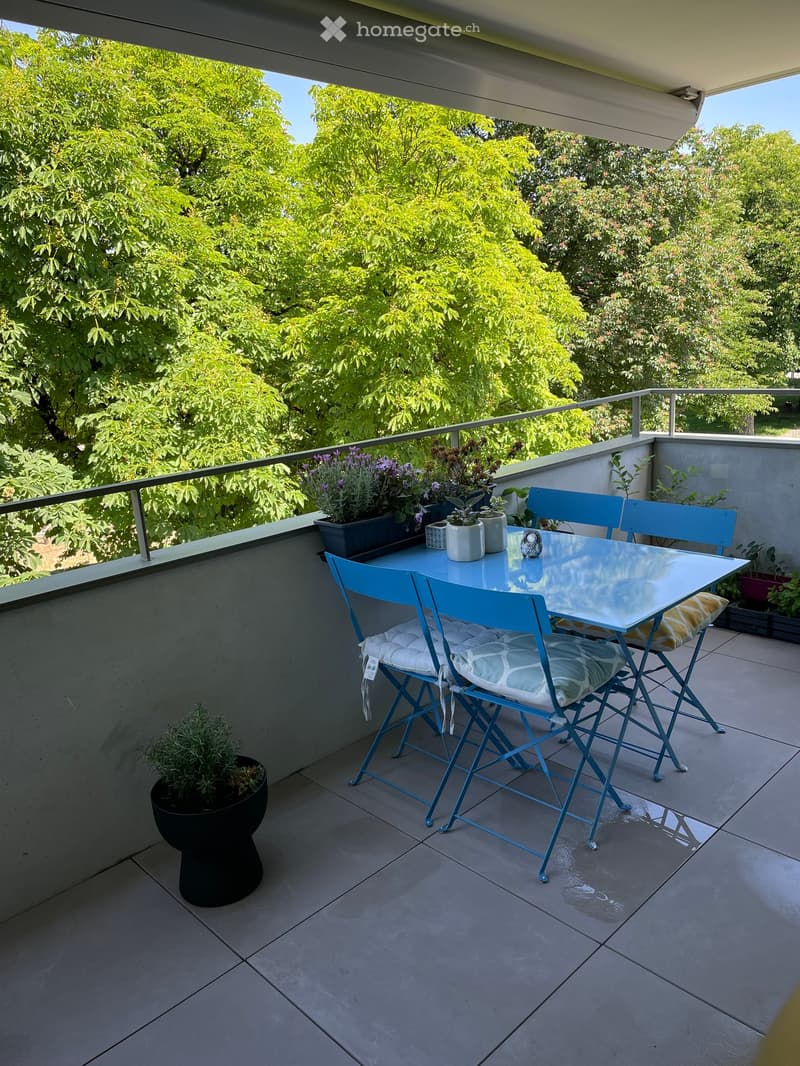 Balcony with a glass table, four blue chairs, and several potted plants.