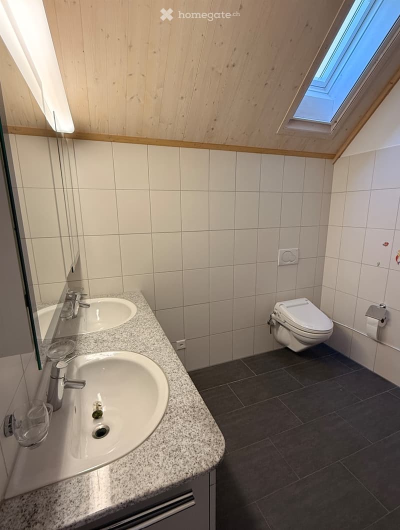 Modern bathroom with double sink, toilet, mirror, and skylight window.