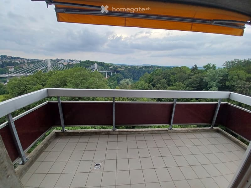 Bel appartement à Fribourg avec vue panoramique (1)