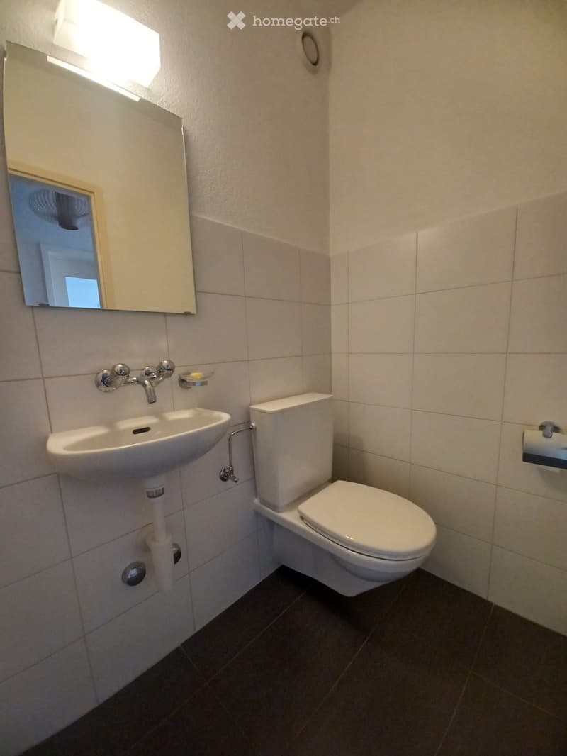 Bel appartement à Fribourg avec vue panoramique (8)