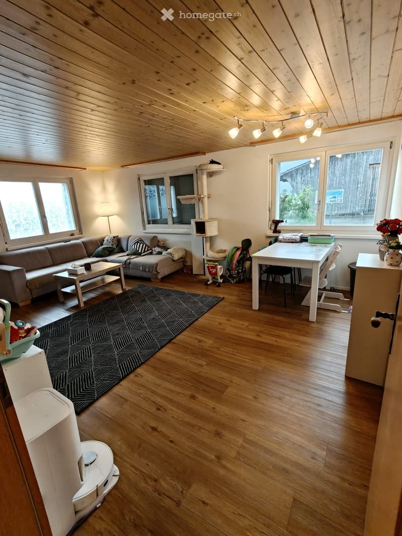 Bright living room with wooden floors, large windows, a grey sectional sofa, coffee table, cat tree, dining table with chairs, and a patterned rug.