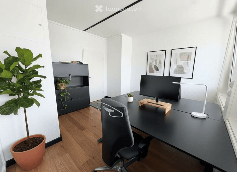 Modern, minimalist office space with a black desk, ergonomic chair, large screen, sleek white lamp, grey cabinet, and potted plants.