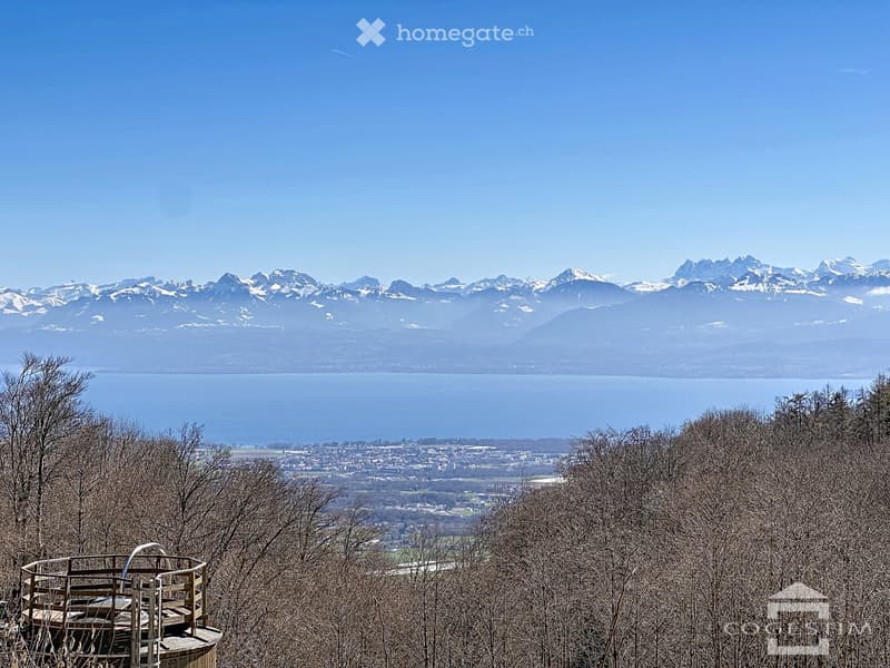 Bel appartement traversant de 5,5 pièces (2)