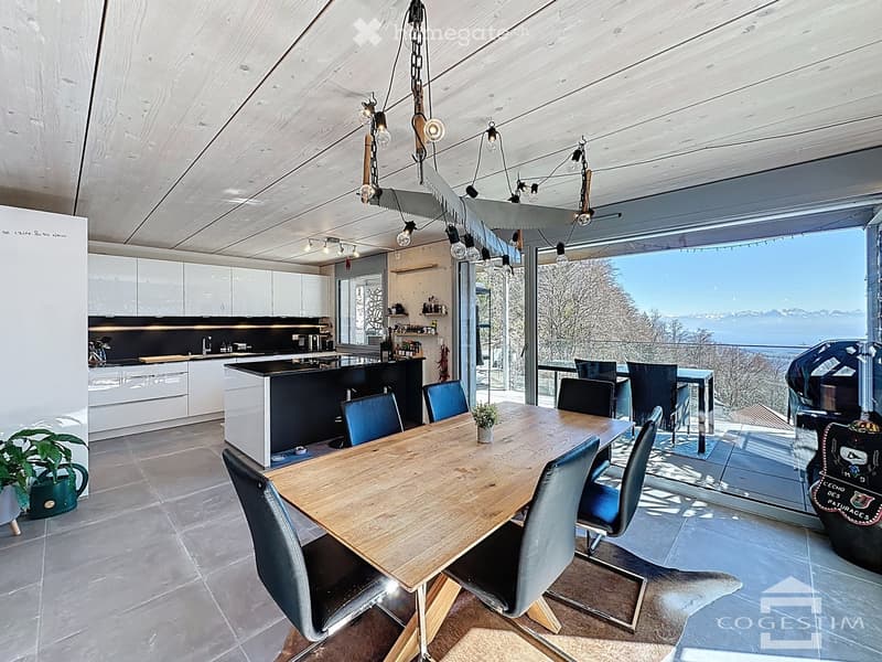 Bel appartement traversant de 5,5 pièces (3)