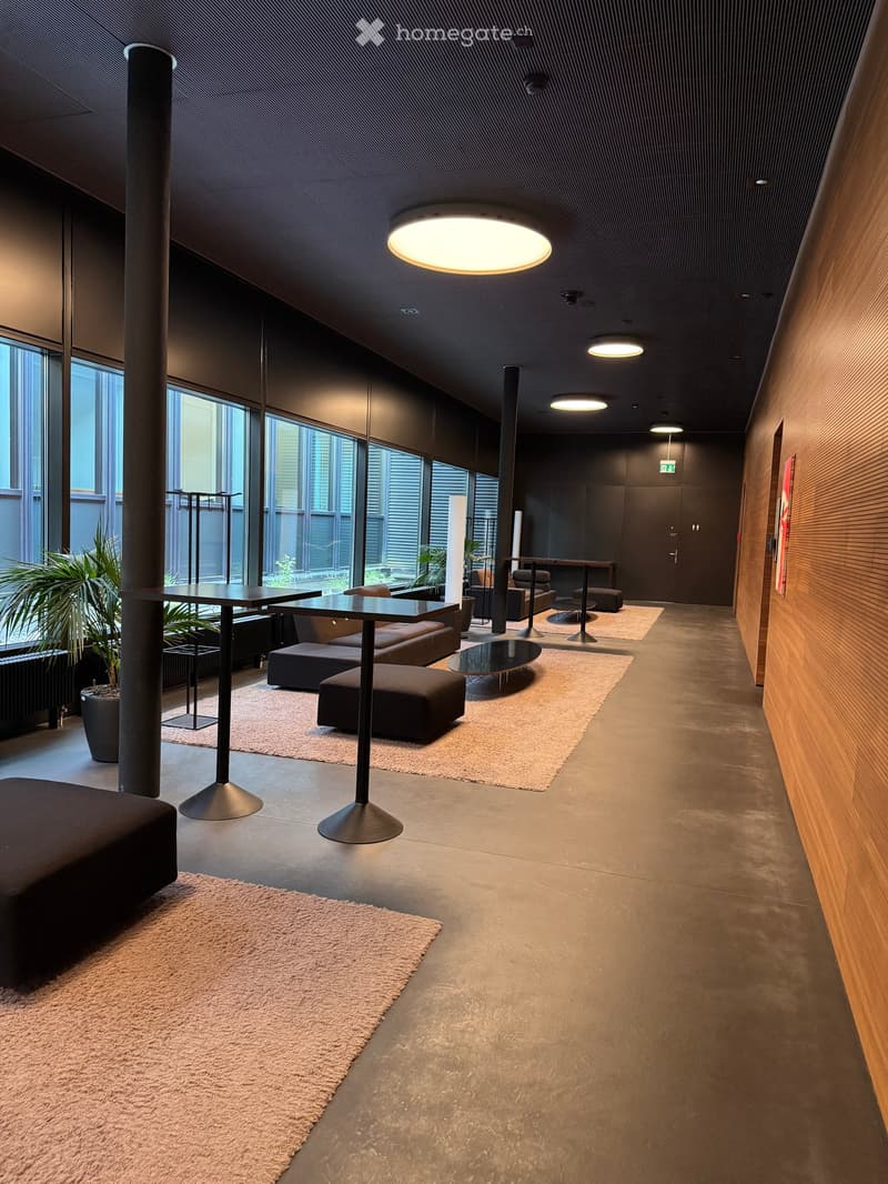Modern, minimalist lounge area with dark wood accents, grey carpeted seating, and large windows letting in natural light.