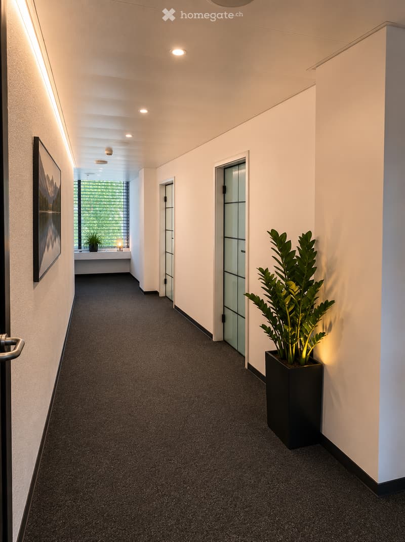 Modern hallway with carpeted floor, white walls, recessed lighting, glass doors, and potted plant on the right side.