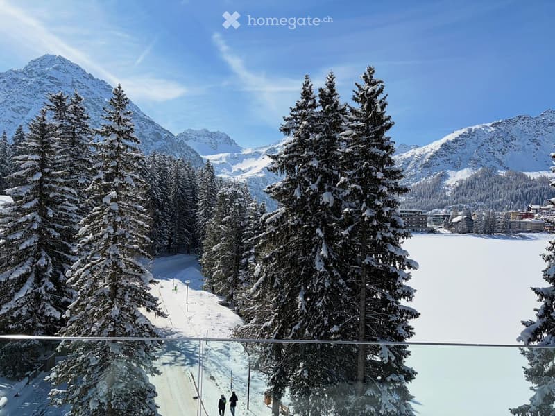 Snowy landscape with pine trees, mountains, and a clear blue sky