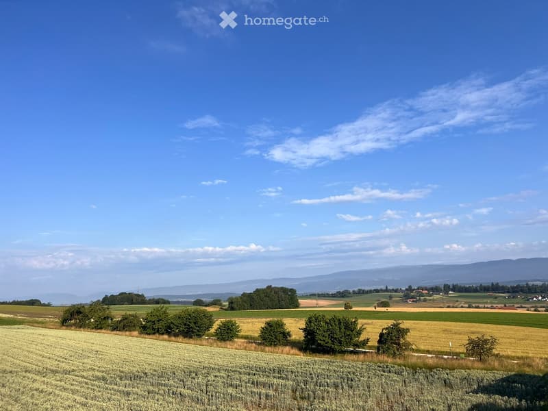 A panoramic view of a rural landscape with fields, scattered trees, and distant mountains under a clear blue sky.