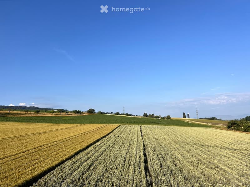 A vast agricultural landscape with multiple fields of crops, including wheat and other grains, under a clear blue sky.