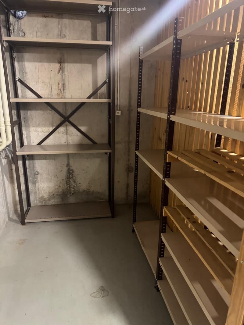 Empty storage room with metal and wooden shelving units, concrete walls, and a concrete floor.