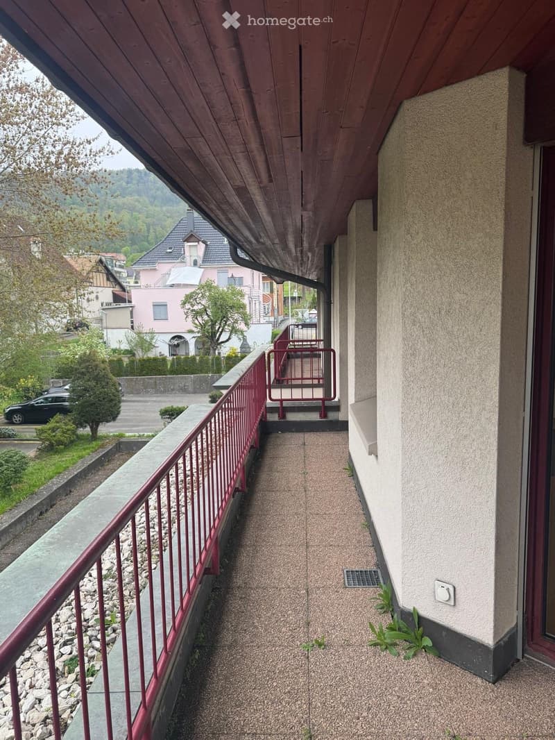 Balcony with red metal railing, concrete floor, and small plants growing near the wall.