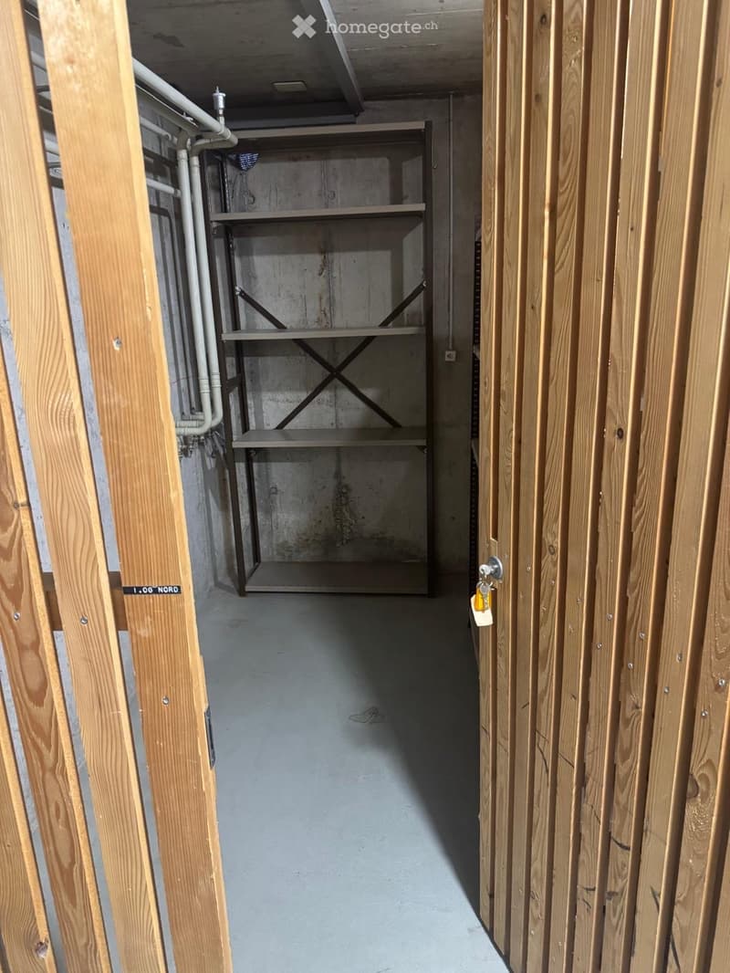 Empty storage room with concrete walls, wooden door frame, and metal shelving unit. No furniture or equipment present.