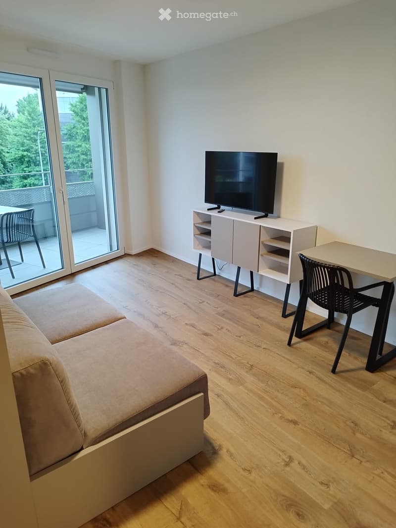Modern furnished room with a sofa, TV on a cabinet, desk with chair, and large sliding glass doors leading to a balcony.