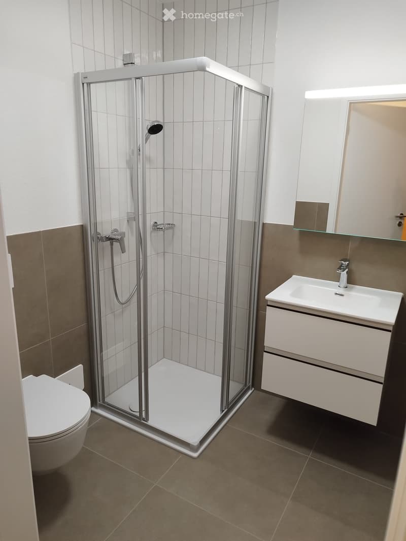 Modern bathroom with a white tiled shower enclosure, a white toilet, a white sink with a modern faucet, and a mirrored cabinet.
