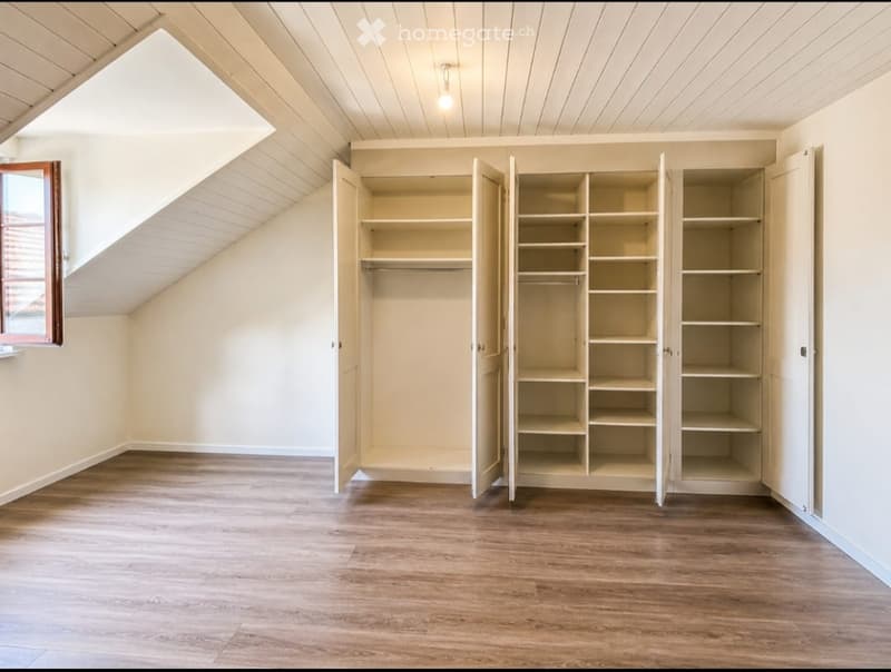Empty attic room with wooden flooring, white walls, built-in closet with open shelves, and a skylight window.