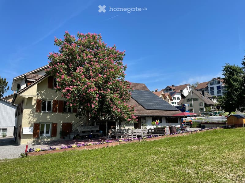 Two-story house with solar panels on the roof, surrounded by a well-maintained garden with colorful flowers and a large pink-flowering tree.